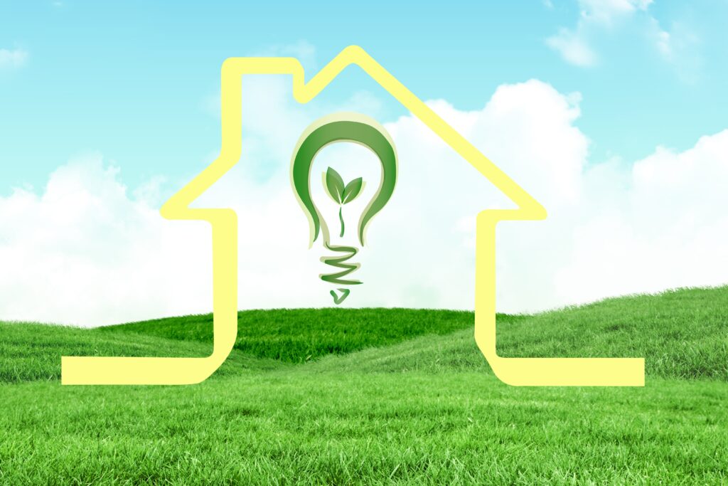 bulb meadow with house scaled